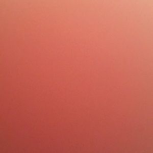 Meet your Posher, Bella